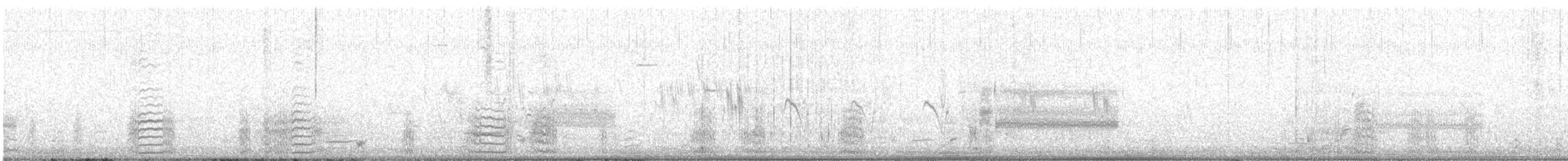 Bufflehead - ML555178111