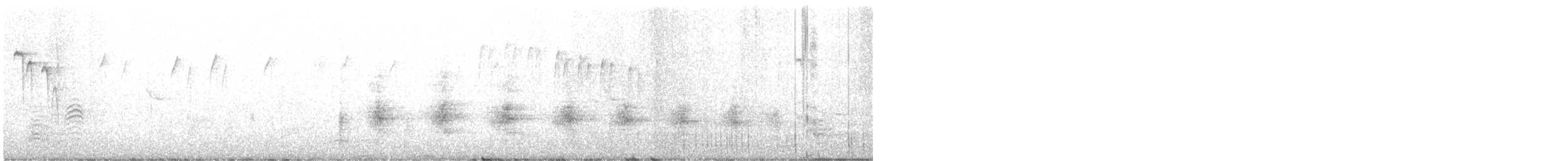 chřástal virginský - ML555191151