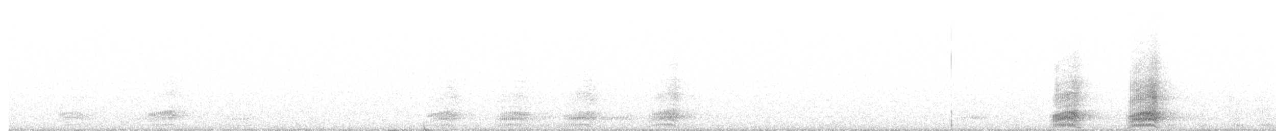 Cuervo Grande - ML555197771