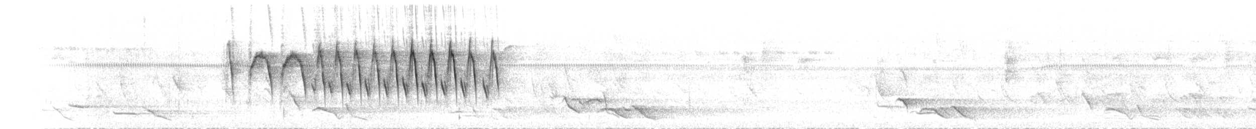 Souimanga des Tukangbesi - ML555202331