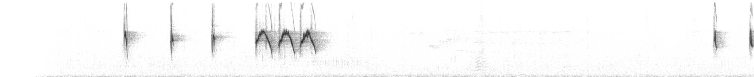 Souimanga des Tukangbesi - ML555203181