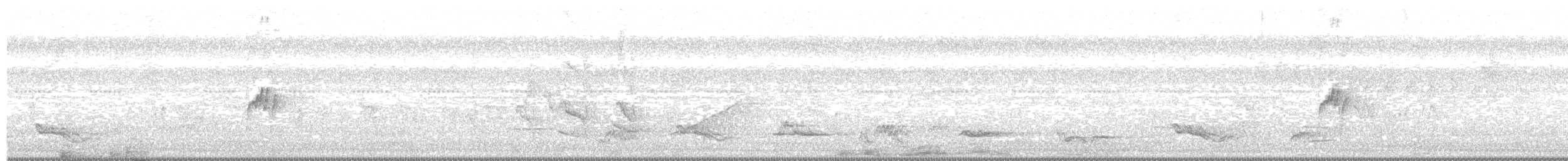Northern Tropical Pewee - ML555243261