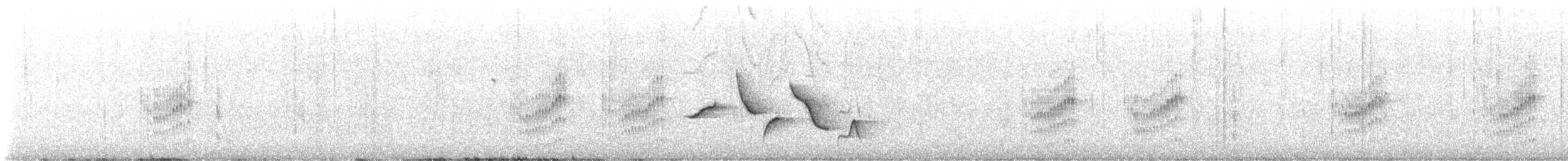 Гвианский крапивник [группа felix] - ML555253351