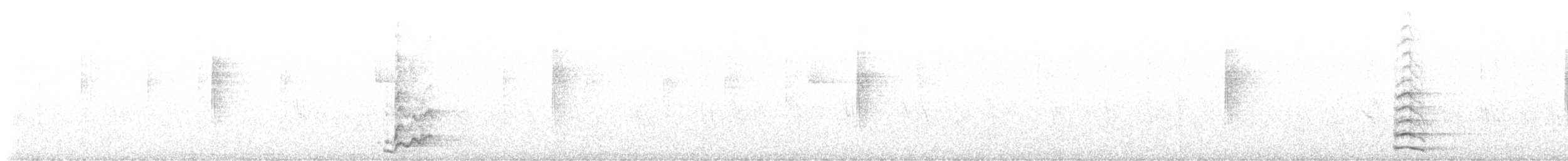 Сойка білогорла - ML555255071