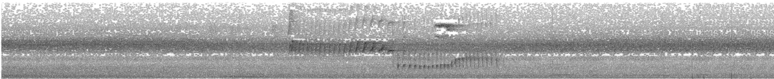 Southern Bristle-Tyrant - ML555257851