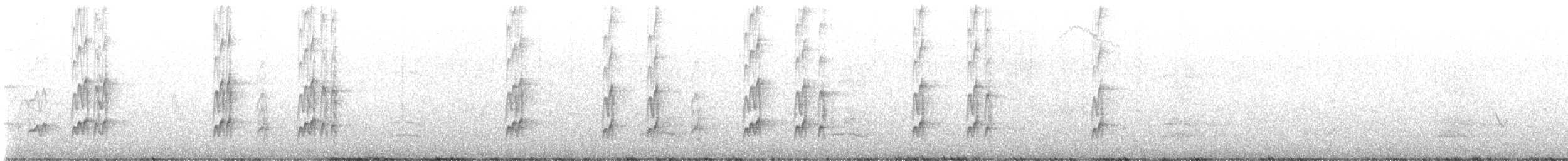 Nutting's/Salvadoran Flycatcher - ML555260621