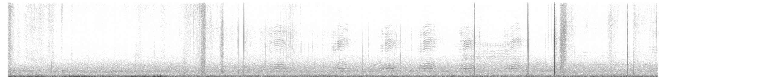 Cuervo Pescador - ML555261641