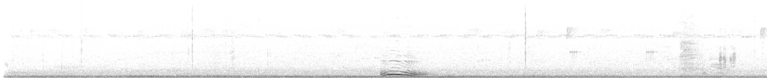 Barred Owl - ML555264101