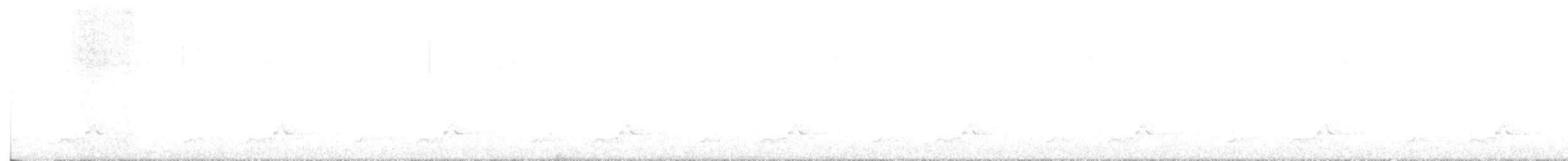 Schwarzkehl-Nachtschwalbe - ML555272421