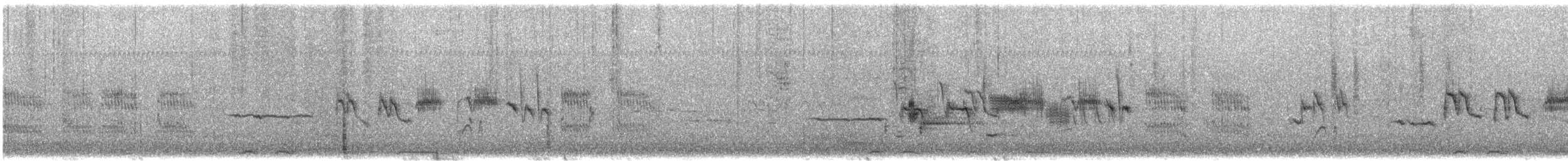 Bruant à couronne blanche (leucophrys/oriantha) - ML555286271