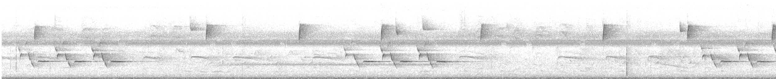 střízlík karolínský - ML555286801