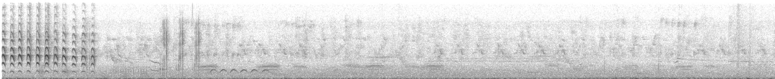 Тольт бор тодол - ML555333401