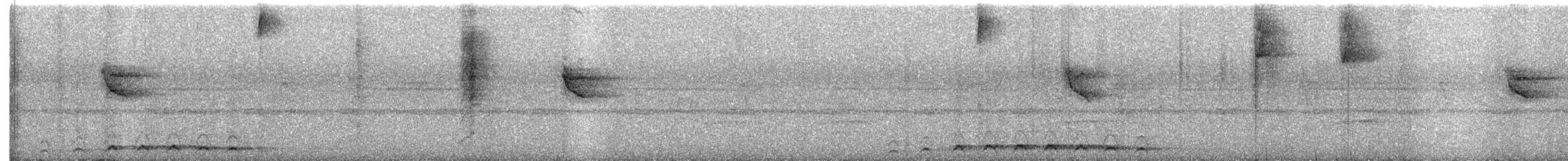 Ebruli Trogon - ML555335061
