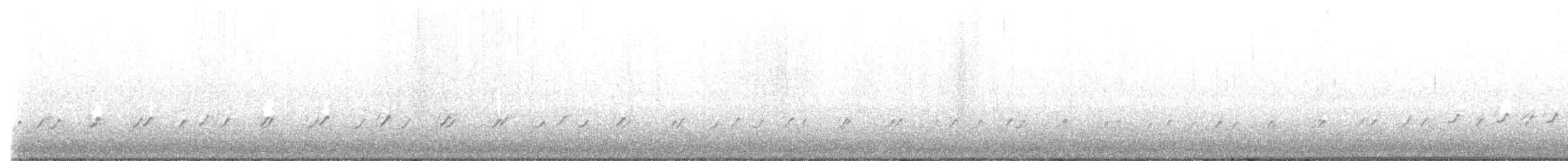 Long-billed Plover - ML555358381