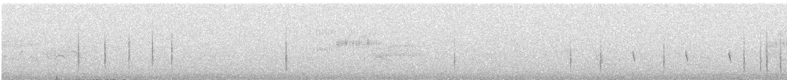 Western Subalpine Warbler - ML555370211