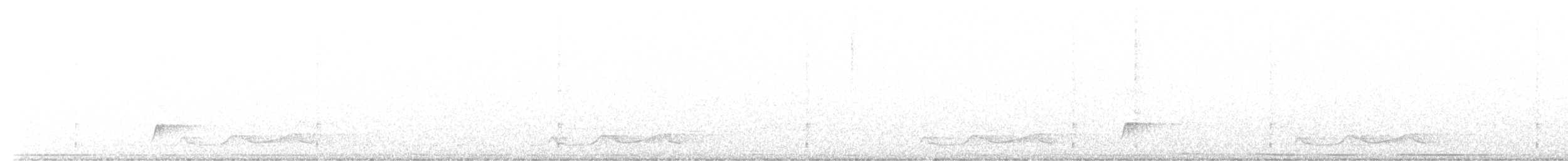 Belizenachtschwalbe - ML555391131