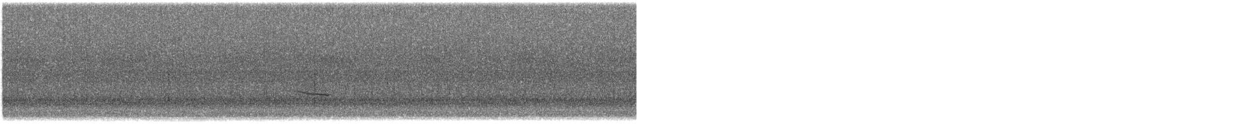 Дрізд-короткодзьоб плямистоволий - ML555447481