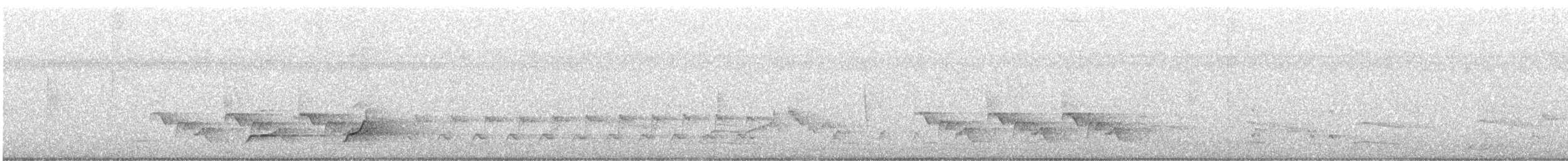 Northern Bobwhite - ML555471581