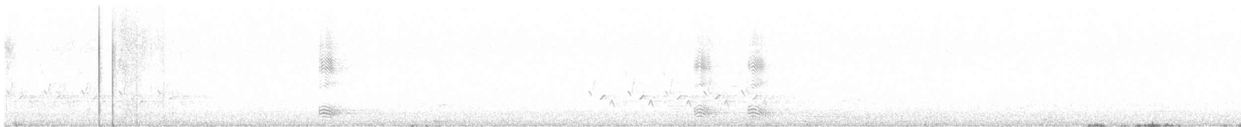 Cuervo Pescador - ML555516241