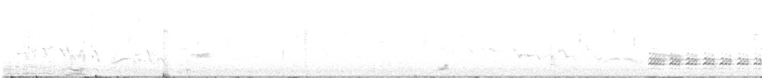 Weißbrustkleiber - ML555536251