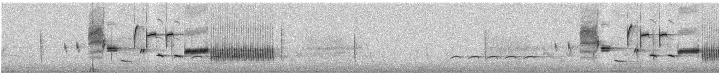 Bewick's Wren - ML555594321