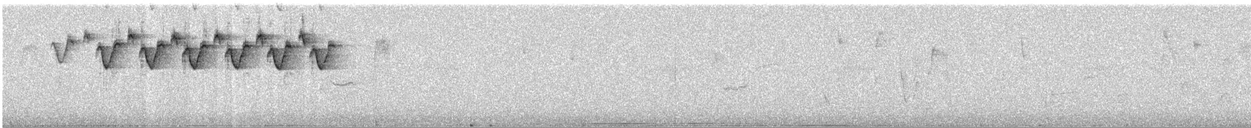 Black-and-white Warbler - ML555601651