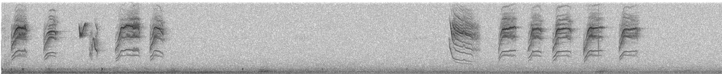 Blue-gray Gnatcatcher - ML555604401