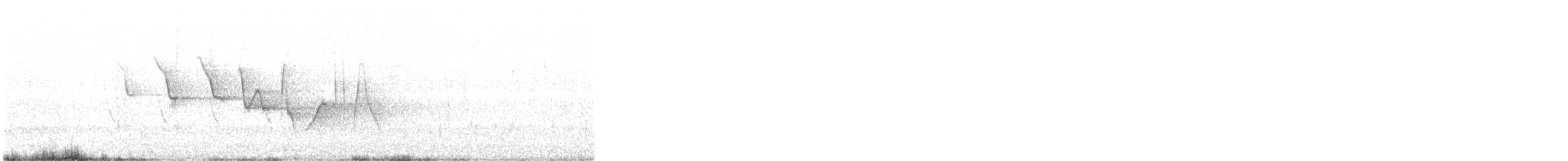 Louisiana Waterthrush - ML55565361