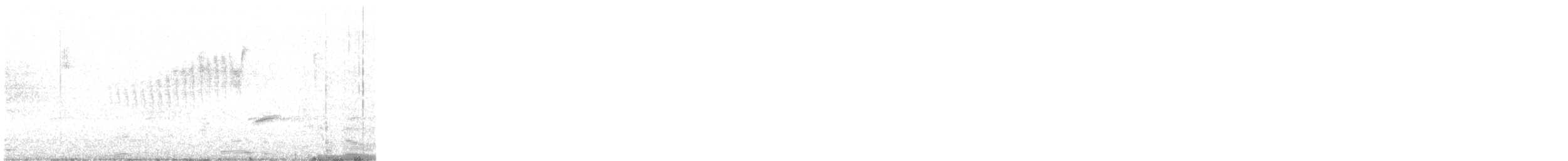 Northern Parula - ML55565391