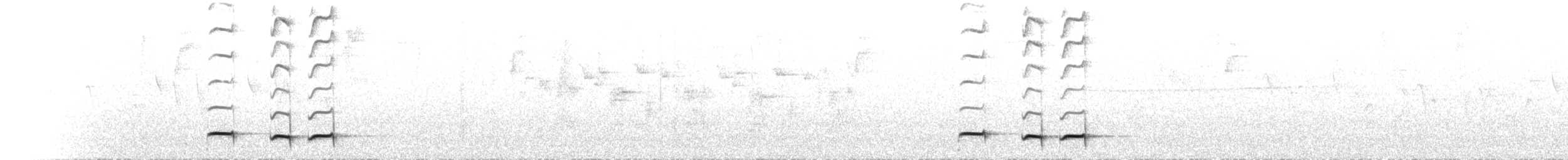 Bay Antpitta - ML555710171