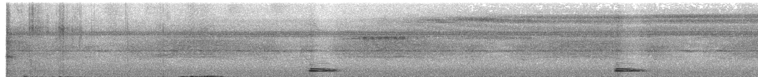 Broad-billed Motmot - ML555726611