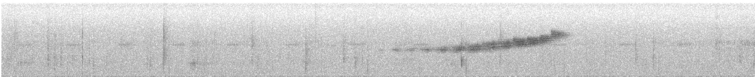 Prairie Warbler - ML555761121
