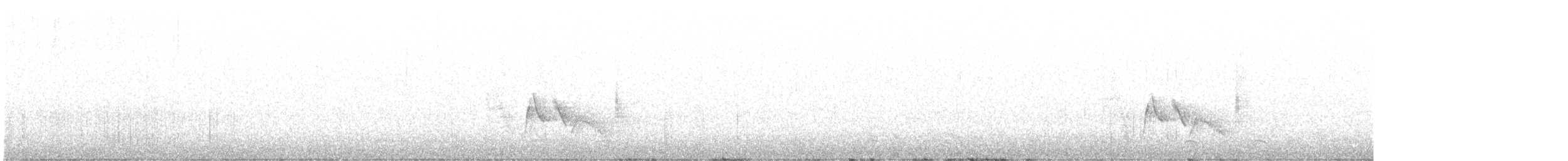 White-eyed Vireo - ML555807821