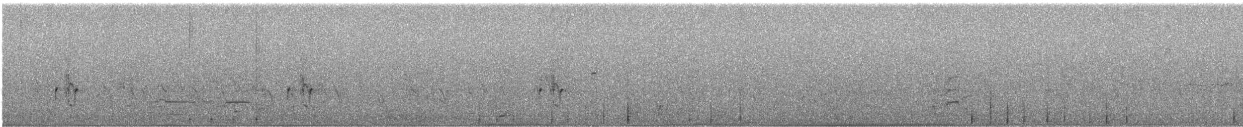 Арлекиновый x Волосатый дятел (гибрид) - ML555861521