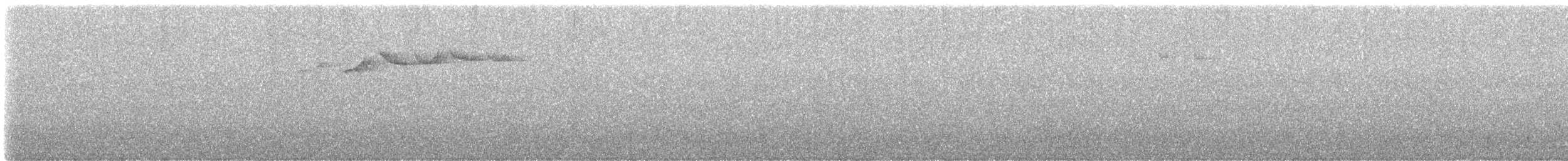 Зондская расписная пеночка (grammiceps) - ML555917971