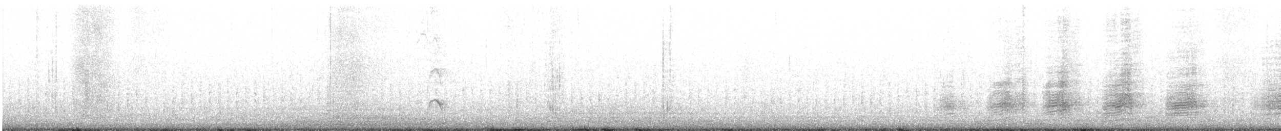 Зондский чирок - ML555918841