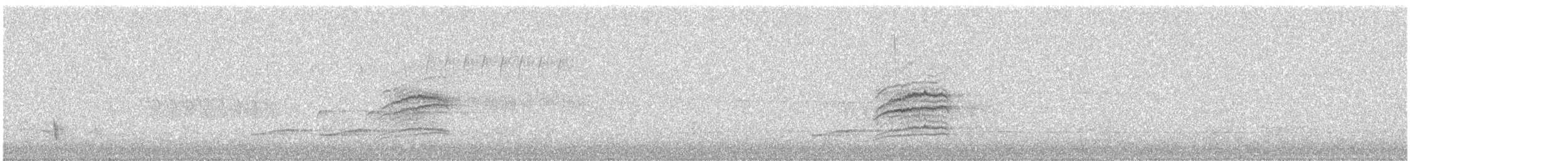 Дрізд-короткодзьоб плямистоволий - ML55593821