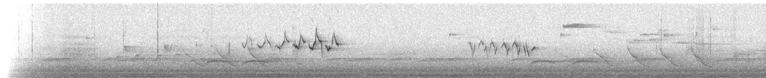 キヅタアメリカムシクイ（coronata） - ML55594801