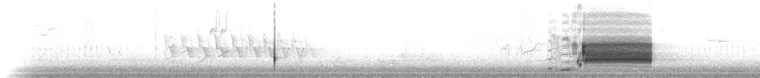 Еполетник червоноплечий [група phoeniceus] - ML55594851