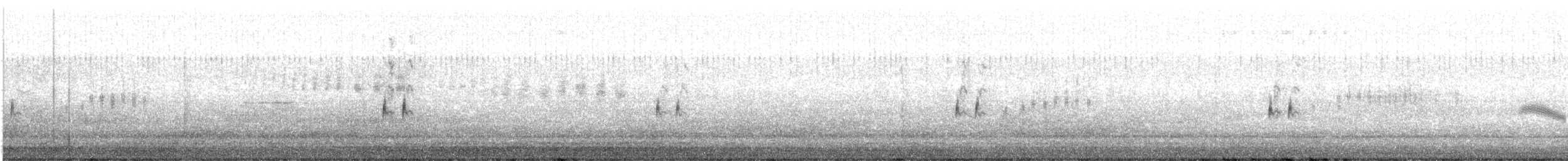 Loggerhead Shrike - ML555957421