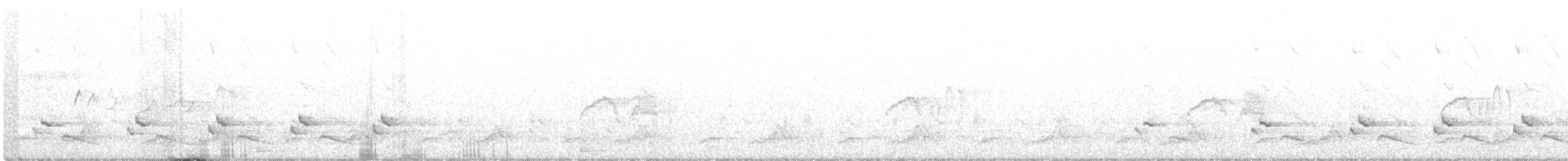 Schwarzkehl-Nachtschwalbe - ML555993271