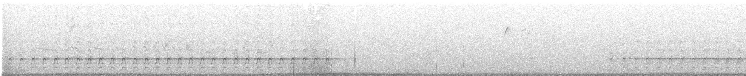 Northern Flicker - ML556001181