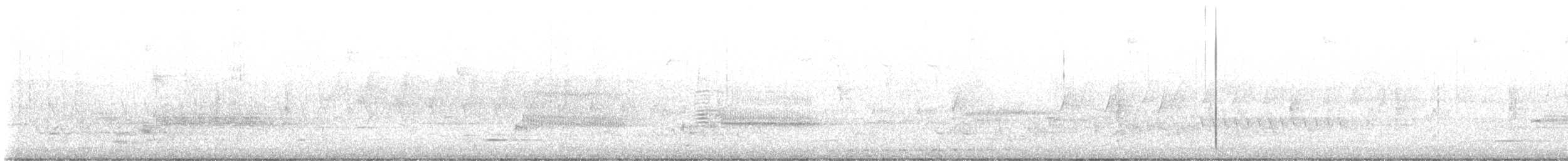 アメリカタシギ - ML556072821
