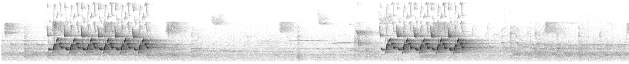 Каролинский крапивник - ML556095211