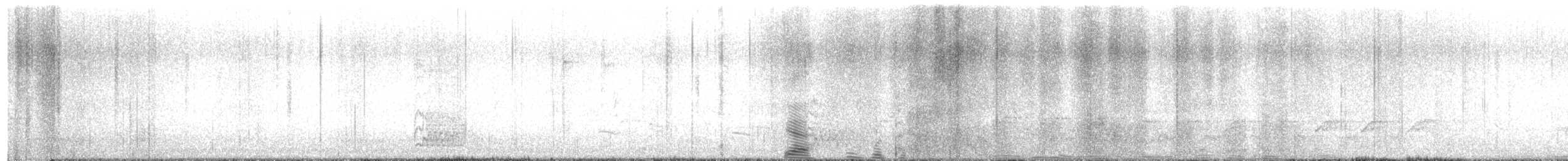 datel karolínský - ML556180411