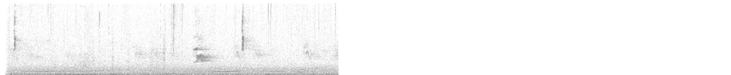 Paruline à croupion jaune (coronata x auduboni) - ML556186851