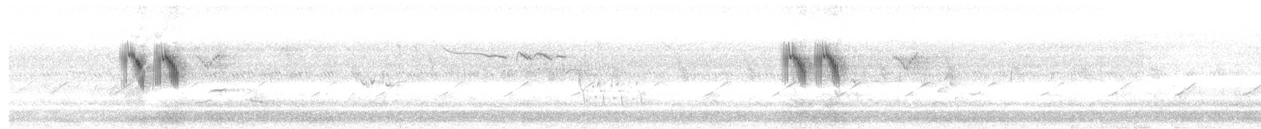 konipas luční (ssp. iberiae) - ML556189981
