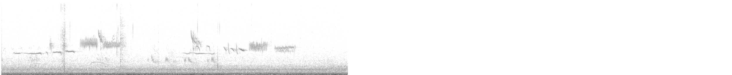 strnadec bělopásý - ML556217621