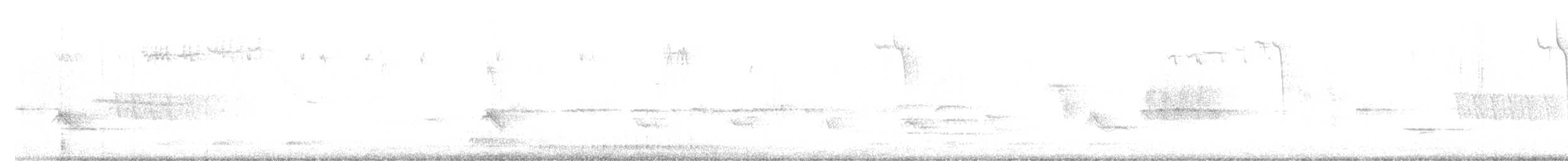 Evening Grosbeak - ML556233661