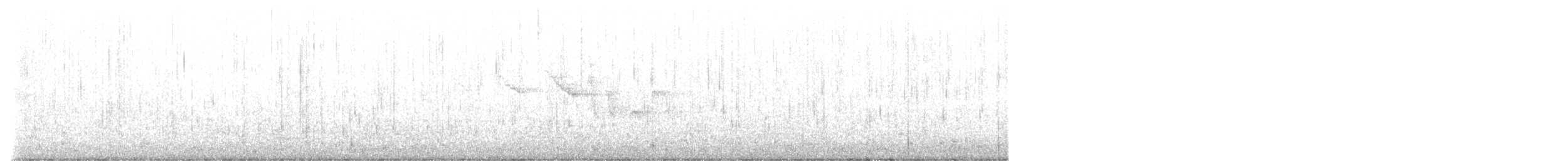 Трясогузковый певун - ML556246281